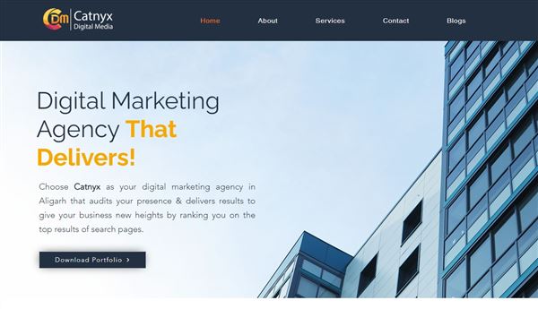 CatnyX | Best Digital Marketing Agency In Aligarh